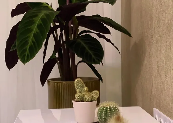 Appartement Le Golden - Terrasse & Moderne - Proche Strasbourg - Commerces A Proximite *